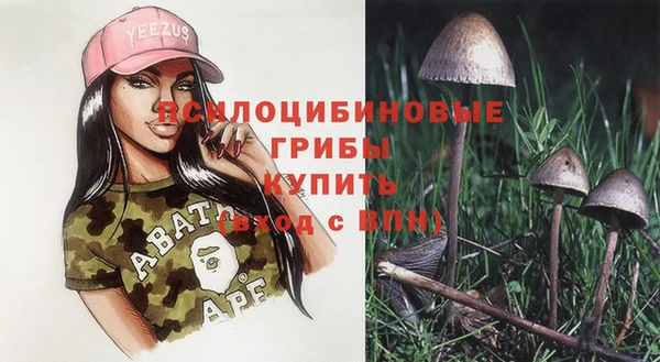 синтетический гашиш Зеленокумск