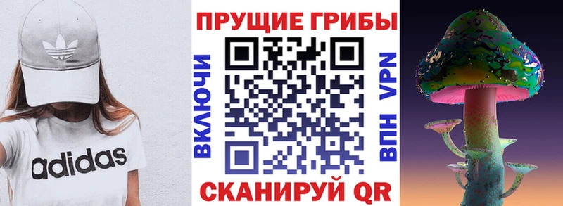 Псилоцибиновые грибы прущие грибы  Купить где  Пушкино 